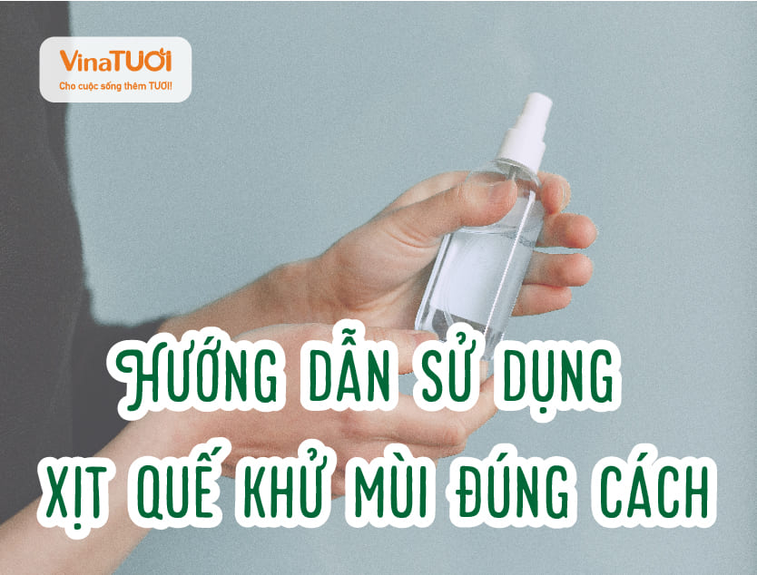 Hướng dẫn sử dụng xịt quế khử mùi đúng cách