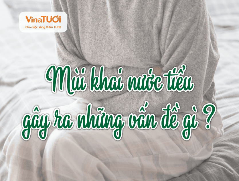 Mùi khai nước tiểu gây ra những vấn đề gì?