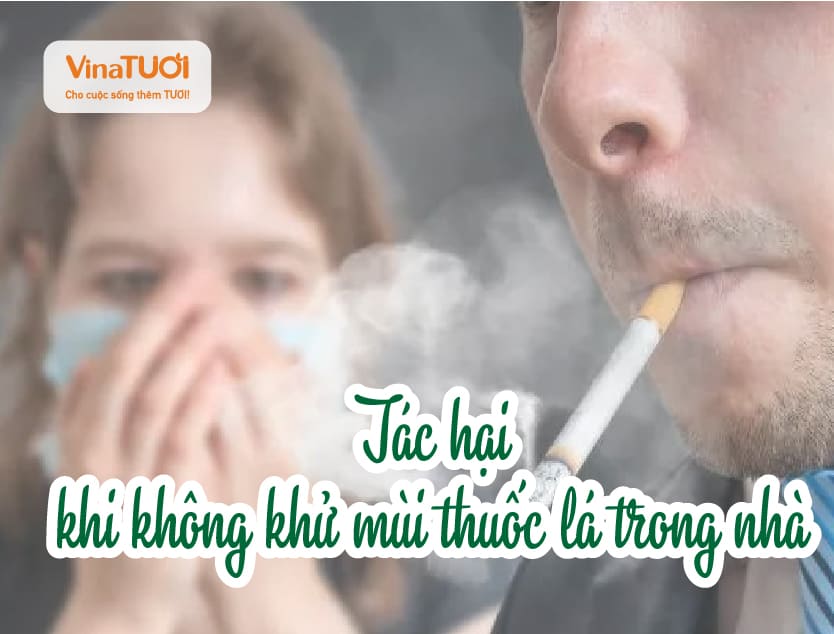 Tác hại khi không khử mùi thuốc lá trong nhà
