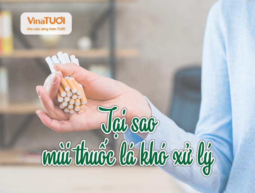 Tại sao mùi thuốc lá khó xử lý?