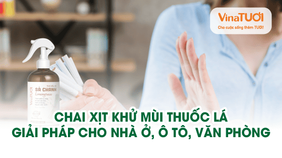Chai xịt khử mùi thuốc lá – giải pháp cho nhà ở, ô tô, văn phòng