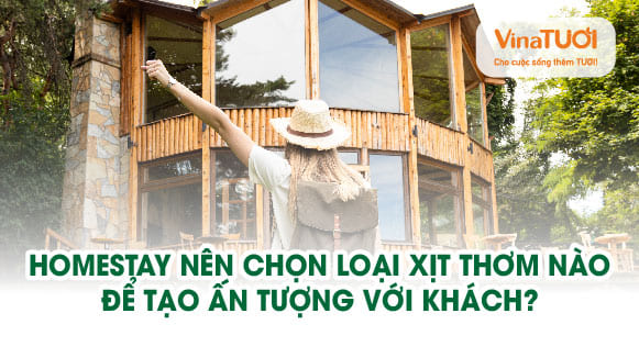 Homestay nên chọn loại xịt thơm nào để tạo ấn tượng với khách?