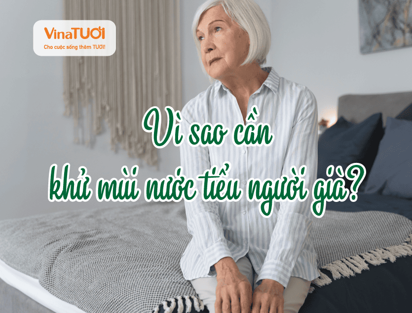 Vì sao cần khử mùi nước tiểu người già?
