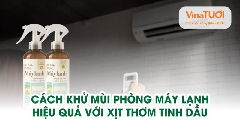 Cách khử mùi phòng máy lạnh hiệu quả với xịt thơm tinh dầu