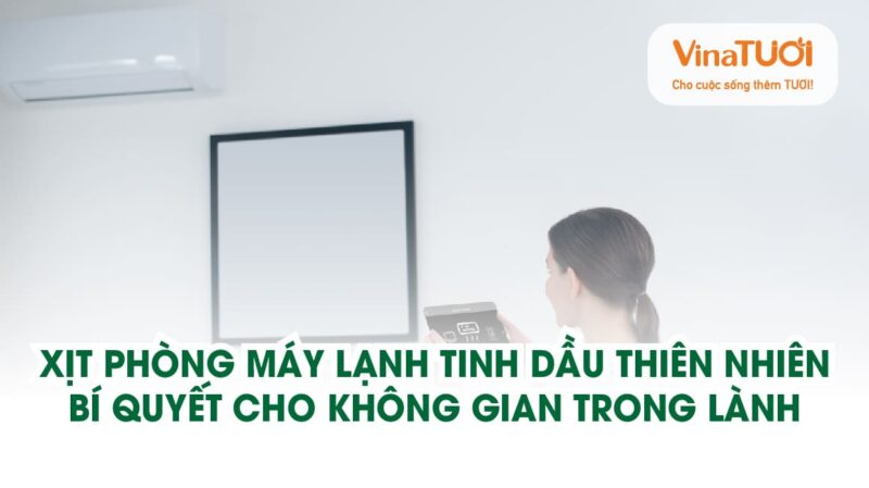 Xịt phòng máy lạnh tinh dầu thiên nhiên – Bí quyết cho không gian trong lành
