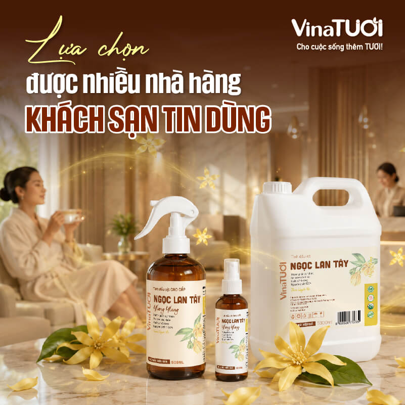 Hoa Ngọc Lan Tây được nhiều Nhà hàng Khách sạn lựa chọn sử dụng