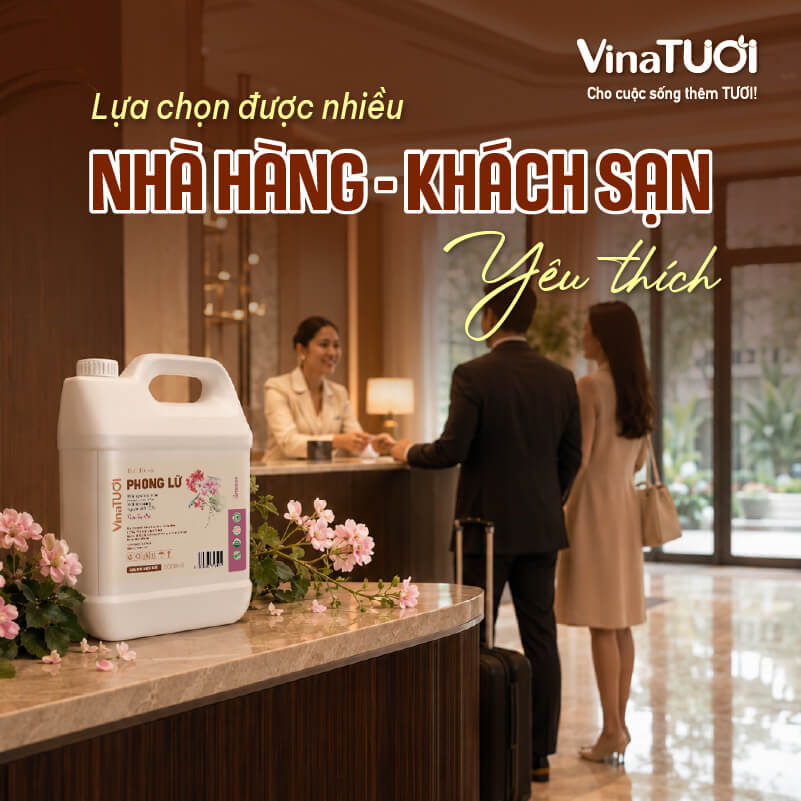 Hương phong lữ được nhiều Nhà hàng Khách sạn lựa chọn để tạo dấu ấn không gian