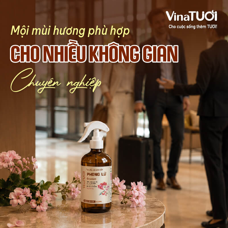 Hương phong lữ phù hợp với nhiều không gian dịch vụ và thương mại