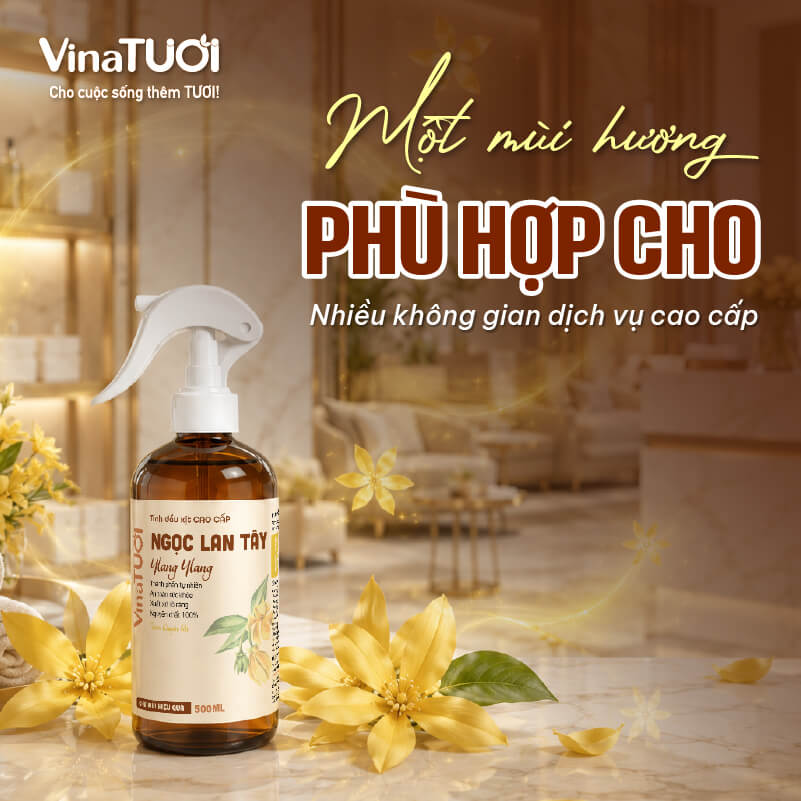 Hoa Ngọc Lan Tây phù hợp với nhiều không gian dịch vụ khác nhau