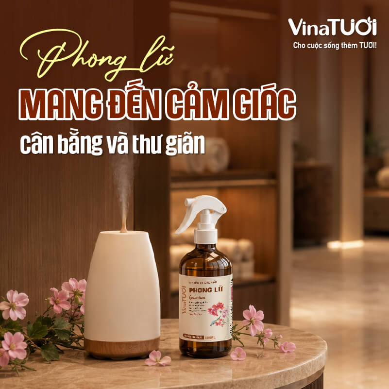Xịt phòng tinh dầu phong lữ tạo cảm giác thư giãn cho không gian dịch vụ