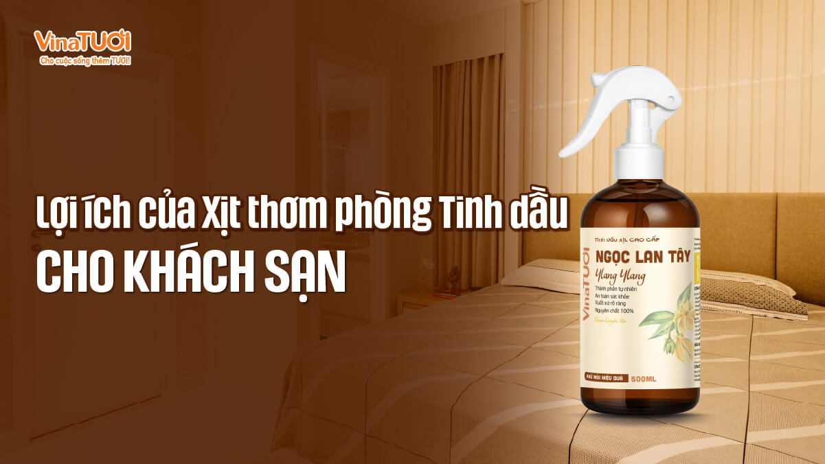 Lợi ích của xịt thơm phòng tinh dầu cho khách sạn