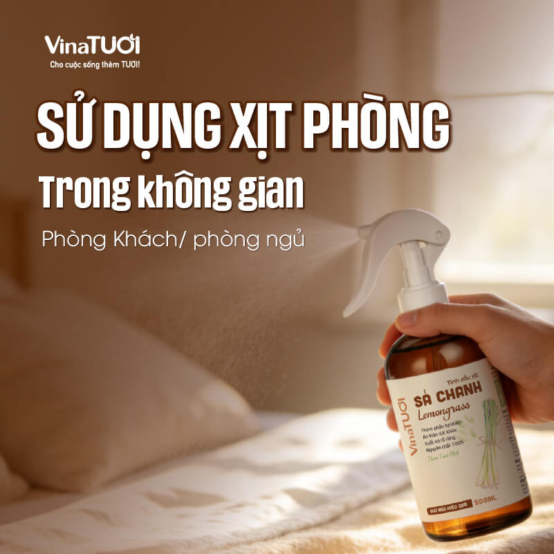 Sử dụng xịt phòng tinh dầu trong phòng khách