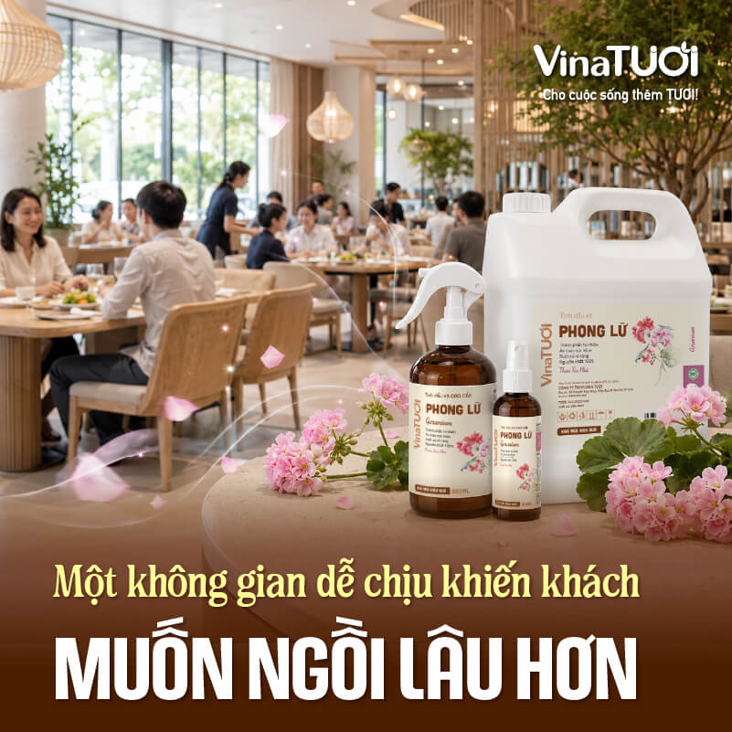 Không gian nhà hàng thơm mát và dễ chịu khiến khách muốn ngồi lại lâu hơn