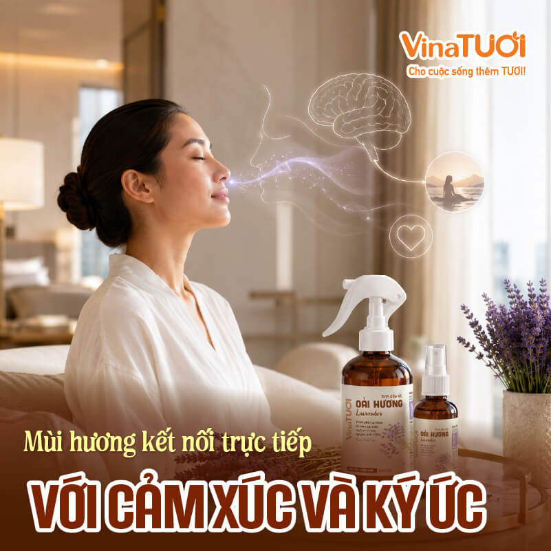 Mùi hương kết nối trực tiếp với cảm xúc và ký ức của khách hàng