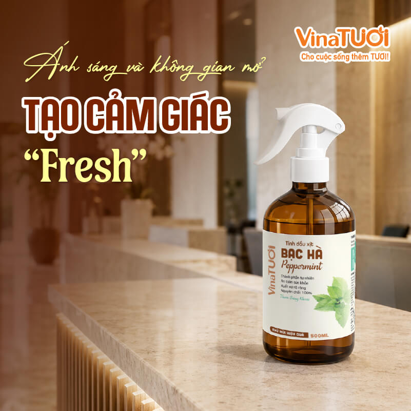 Ánh sáng tự nhiên giúp khách sạn trở nên fresh và thoải mái