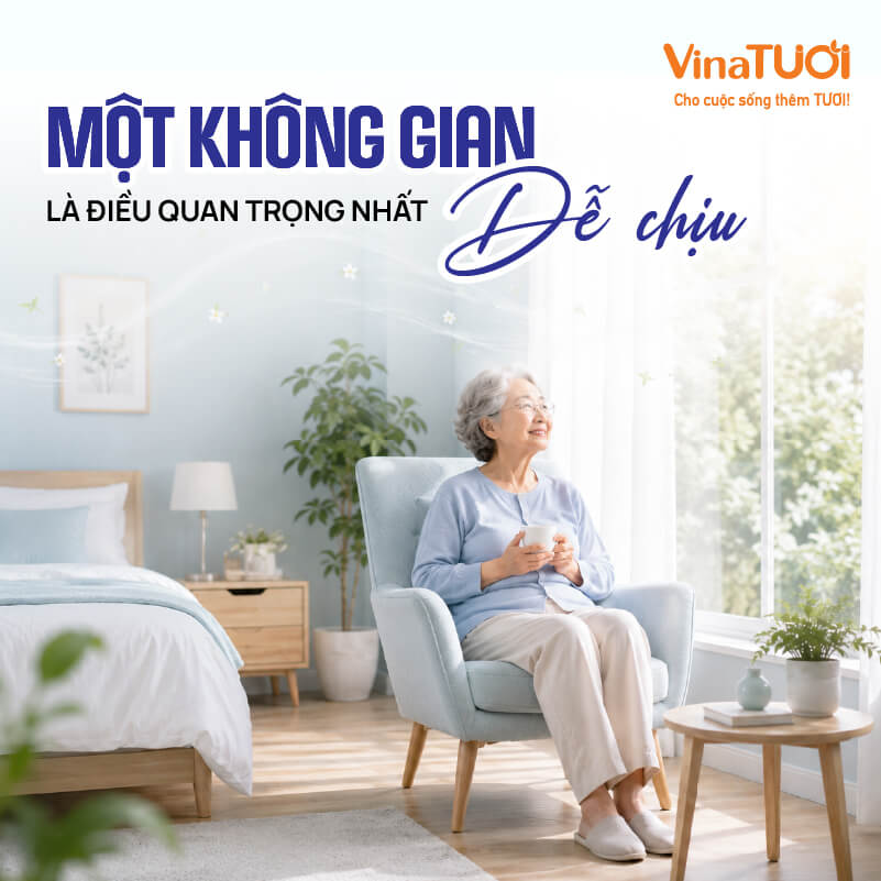 Không gian sống nhẹ nhàng và dễ chịu cho người lớn tuổi