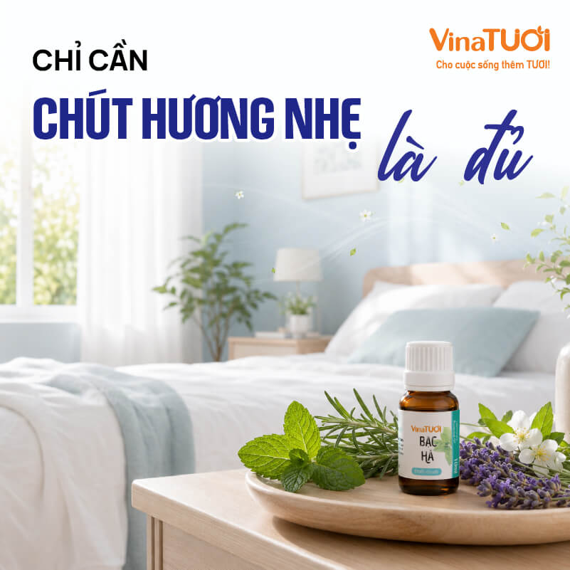 Mùi hương nhẹ giúp không gian người lớn tuổi dễ chịu hơn