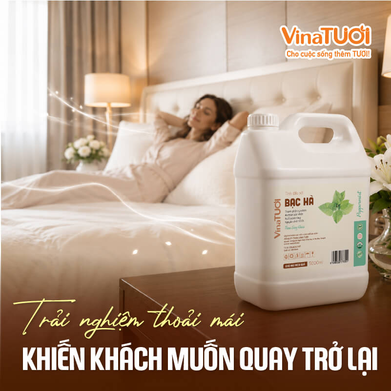 Không gian khách sạn thoải mái giúp khách hàng thư giãn