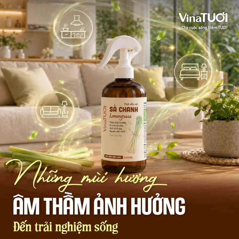 nhung-mui-huong-am-tham-anh-huong-den-trai-nghiem-song